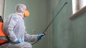 Mold Remediation for Rental Properties in Ranlo, NC